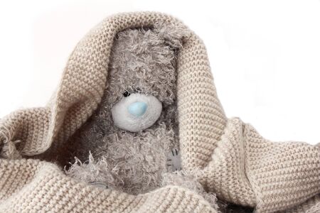 Teddy bear on white backgroundの写真素材