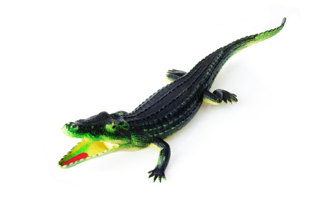 rubber crocodile toy isolated on white backgroundの写真素材