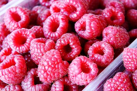 fresh ripe raspberries at the market