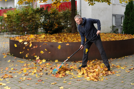 A man rakes the fallen leaves.の写真素材