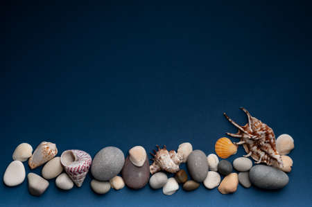 beautiful seashells and stones on a blue background, top view