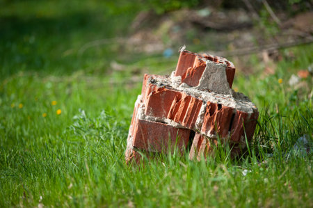 red brick on green dense grass, brick on the lawnの写真素材