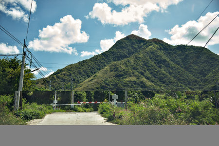 Road in the mountains with green trees and blue sky with white clouds