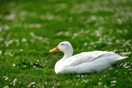 Illustration of duck resting on grassのイラスト素材