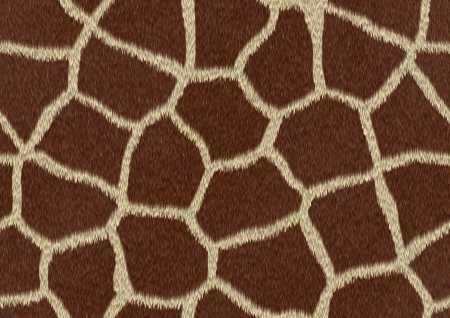 Texture of the Giraffe Furの写真素材