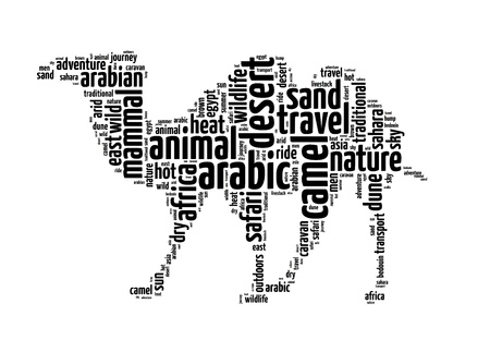 Words illustration of a camel in white background.の写真素材