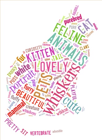 Words illustration of a cat in white backgroundの写真素材