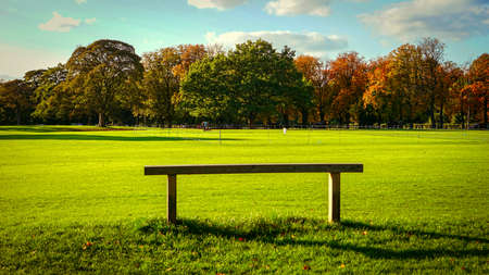 landscape view, bench with green grass in the parkの写真素材