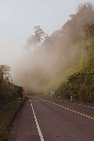 Asphalt road (highway) through the evergreen tree forest in a white fog, Foggy roadの写真素材