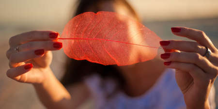 woman holding a red leafの写真素材