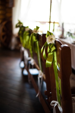 white gerberaの写真素材