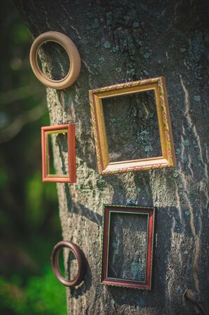 antique wooden frames hanging on a tree