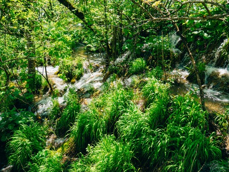 Waterfall in the national park Plitvice Lakes, Croatia. Waterfall in the forest.の写真素材