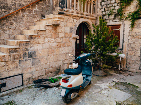 Retro Scooter for hipsters on the streets of Croatia and Montenegro. A small malotrade moped.の写真素材