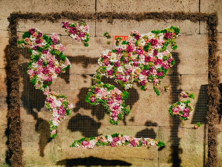 World map of flowers. Flowers on the grid.の写真素材