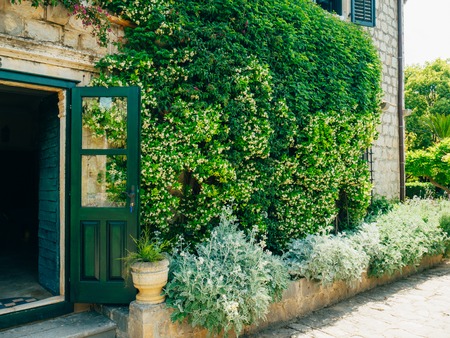 Lush vegetation, paved passageway and a pavilion at the arboretum in Trsteno, Croatia.の写真素材