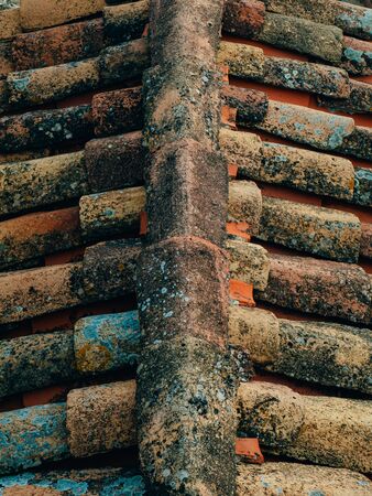 The texture of the orange tile roof