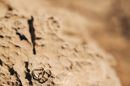 Wedding rings on the stones in the grass, in the green, at sunset. Wedding jewelry.の写真素材