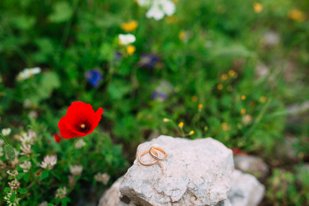 Wedding rings on the stones in the grass and red poppies on the background. Wedding jewelry.の写真素材