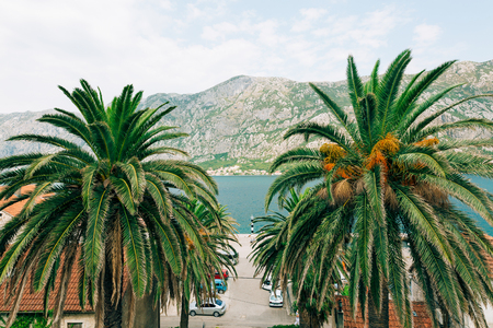 Prcanj, Montenegro, view from the Church of the Nativity of the Blessed Virgin.の写真素材