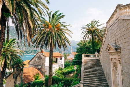 Prcanj, Montenegro, the ladder of the Nativity of the Virgin church.の写真素材