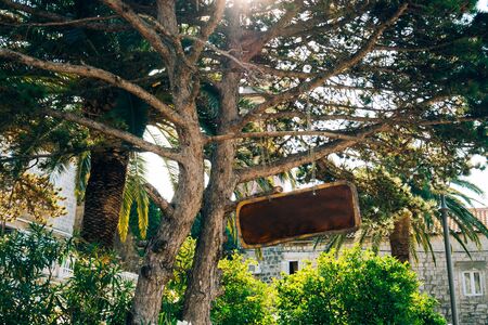 Board for inscriptions in the forest. Montenegroの写真素材