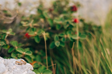 Wedding rings on the stones in the grass, among the greenery, leaves. Wedding jewelry.の写真素材