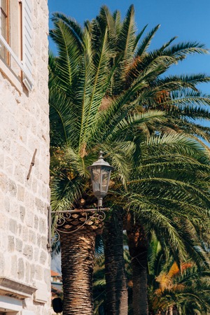 Vintage lamp on the wall on the street.の写真素材