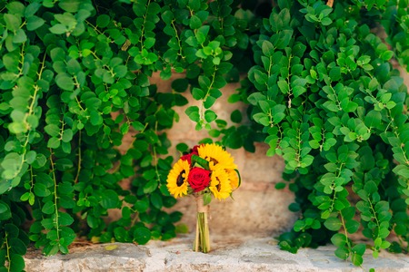 Wedding bridal bouquet of sunflowers in on a stone bench and hanging on the background of green leaves. Wedding in Montenegro, Perast.の写真素材