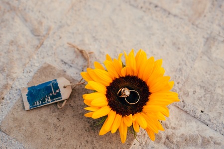 Wedding rings on a flower of a sunflower. Wedding jewelry.の写真素材