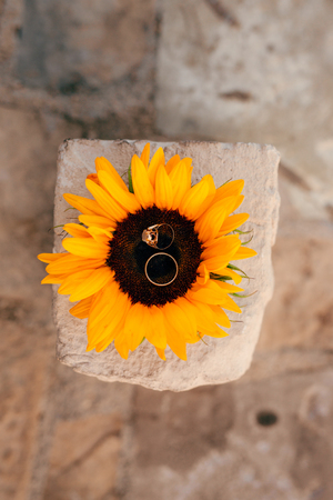 Wedding rings on a flower of a sunflower. Wedding jewelry.の写真素材