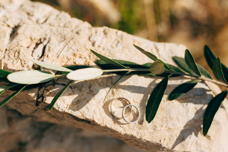 Wedding rings on the stone and the olive branch. Wedding jewelry.の写真素材