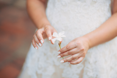 Oleander flower in the girls hands. Wedding in Montenegroの写真素材