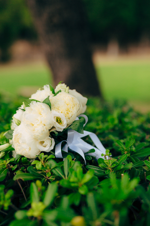 Wedding roses and peonies on the grass. Wedding in Montenegro.の写真素材