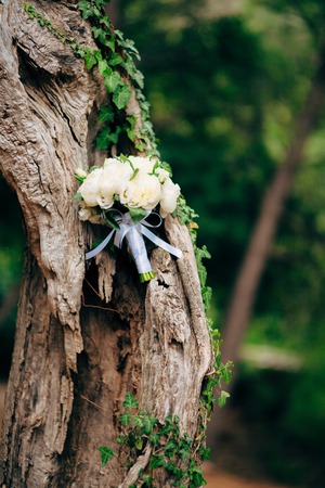 Wedding roses and peonies on olive tree bark. Wedding in Montenegro.の写真素材