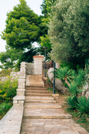 Stone stairs in Montenegro, in the Park Milocer, Sveti Stefan.の写真素材