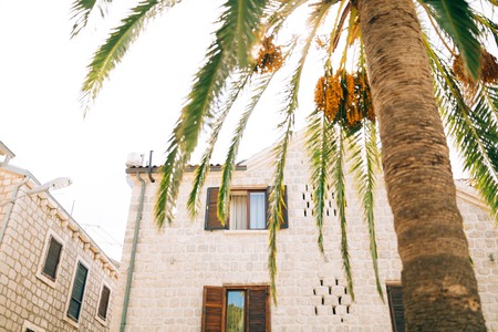 Villa by the sea. Montenegro, Kotor Bay, Adriatic seaの写真素材