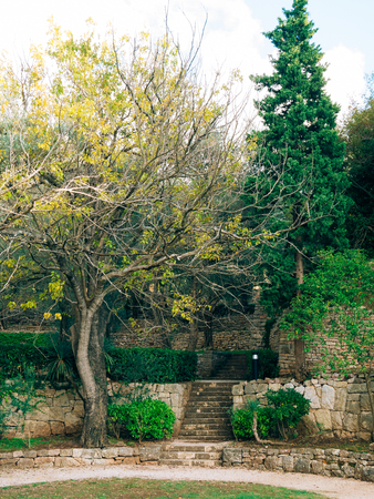 A stone staircase and a fence in the forest under the branches of trees. Territory of the park Milocer, in Montenegro.の写真素材