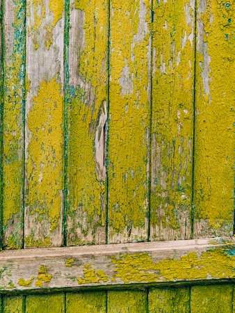 Green doors. Wood texture. Old shabby, irradiated paint. Old wooden doorsの写真素材