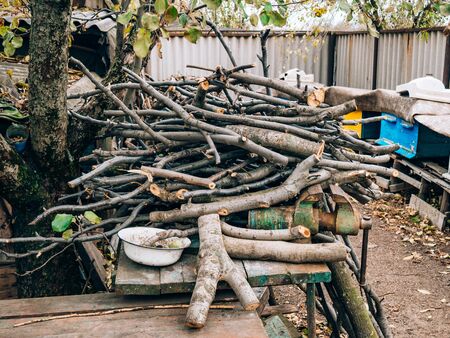 Logs of a tree. The sawn wood. The texture of the sawn wood.の写真素材