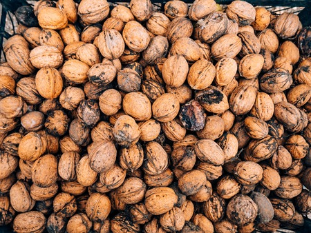 Many walnuts. Nuts in a box. Texture nutsの写真素材