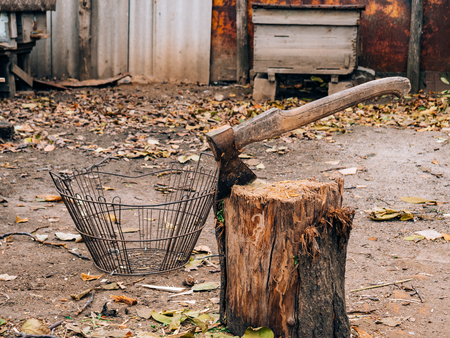 The ax in the stump. An ax with a wooden handle for cutting a tree for heating a furnace. Tools...