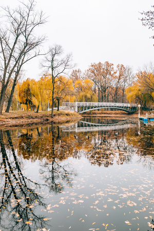Autumn lake. Yellow foliage in autumn. Zaporozhye, park Oak Grove , Ukraineの写真素材