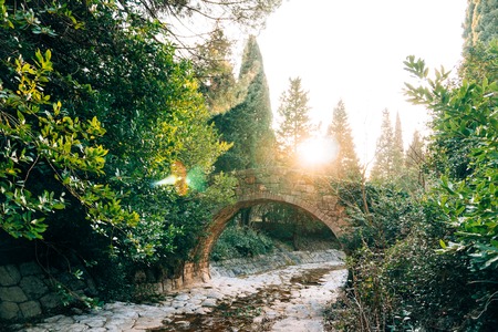 Stone Bridge in the forest. The park Milocer in Montenegro.の写真素材