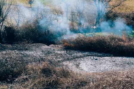 Fire in the woods in the afternoon. Albanian forest is burning near the highway.の写真素材