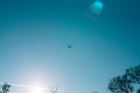 Plane in the sky. Shooted from the ground.