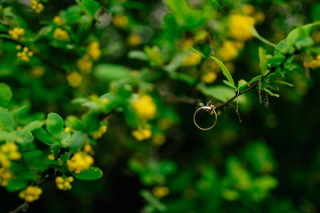 Gold wedding rings on a wooden backgroundの写真素材