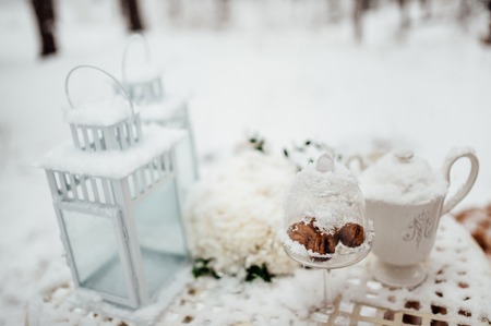 Picnic in the winter forest. Metal forged table and plaid plaids.の写真素材