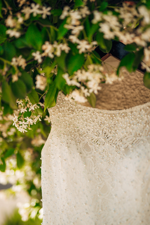 The brides dress on a hanger in the green in Montenegroの写真素材