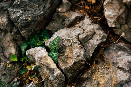 Wedding rings on the stones in the grass. Wedding in Montenegro.の写真素材